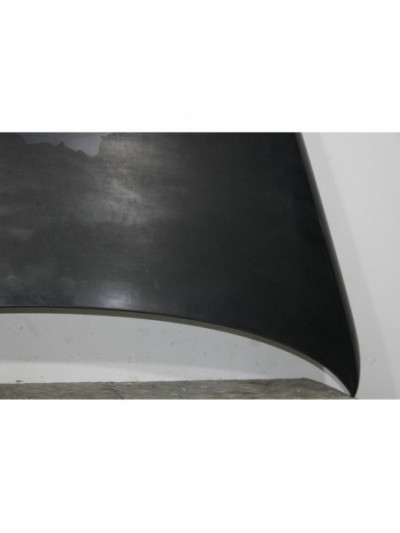 Capo VOLKSWAGEN TOUAREG 5.0 V10 TDI 2006