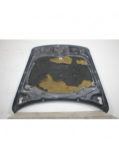 Capo VOLKSWAGEN TOUAREG 5.0 V10 TDI 2006