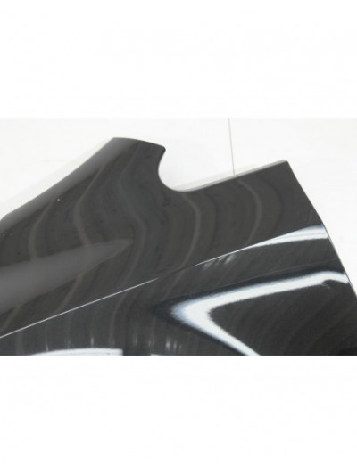 Recambio de aleta delantera izquierda para volkswagen golf plus v (5m1, 521) 1.9 tdi referencia OEM IAM