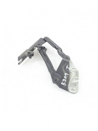 Bisagra capo izquierda VOLKSWAGEN GOLF V 1.9 TDI 2006