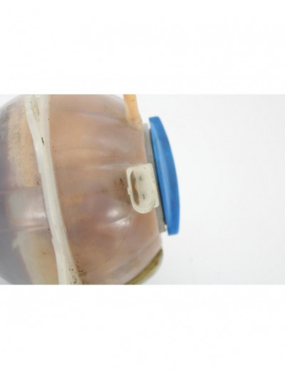 Depósito expansión VOLKSWAGEN POLO Advance 2013