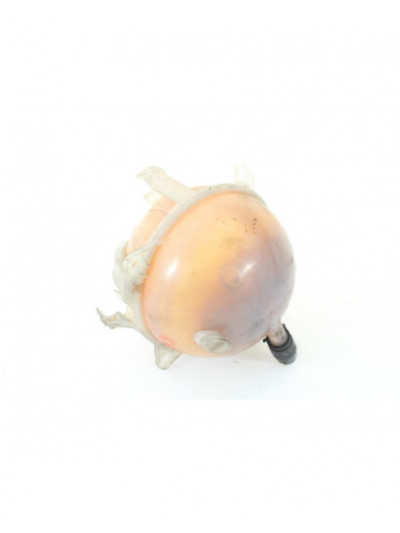 Depósito expansión VOLKSWAGEN PASSAT LIM. Edition BlueMotion 2012