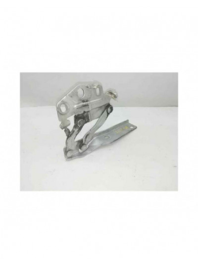 Bisagra capo derecha VOLKSWAGEN PASSAT BERLINA Advance Plus 4Motion 2009
