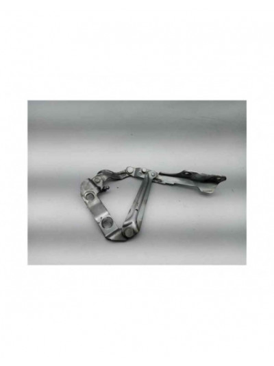 Recambio de bisagra capo izquierda para volkswagen new beetle (9c1/1c1) 1.6 referencia OEM IAM 1C0823301