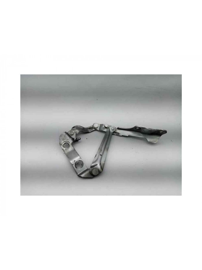 Recambio de bisagra capo izquierda para volkswagen new beetle (9c1/1c1) 1.6 referencia OEM IAM 1C0823301