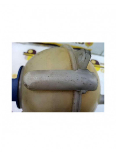 Depósito expansión VOLKSWAGEN GOLF IV VARIANT * 1999