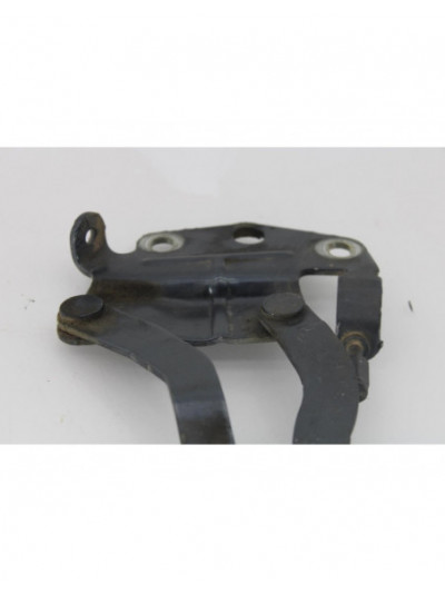 Recambio de bisagras capo para volkswagen passat variant (365) highline bluemotion referencia OEM IAM 3AA823301IZQ.