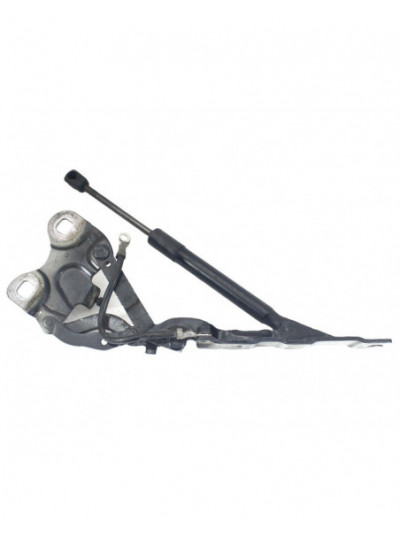 Recambio de bisagra capo derecha para mini mini paceman (r61) cooper d referencia OEM IAM