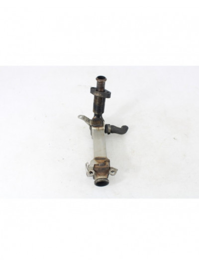 Enfriador EGR BMW X3 2.0 d 2006