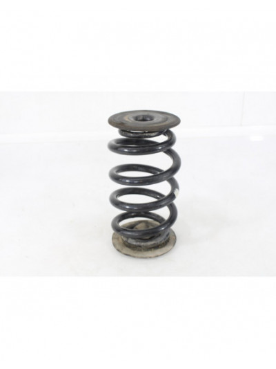 Recambio de muelle amortiguacion para bmw x3 (e83) 2.0 d referencia OEM IAM 1136385