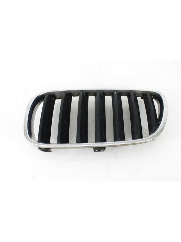 Rejilla paragolpes izquierda BMW X3 2.0 d 2006