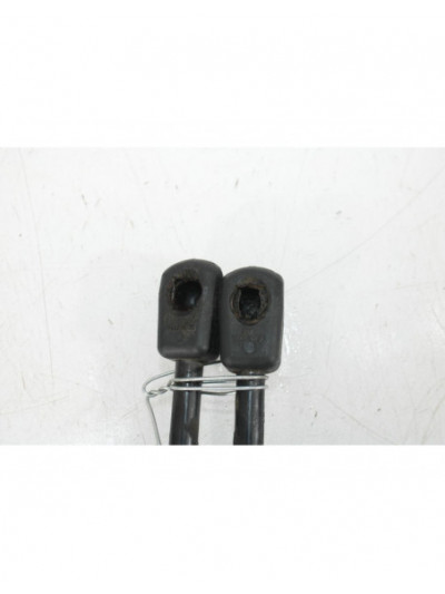 Amortiguadores capo BMW 1 116 d 2012