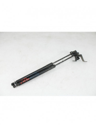 Recambio de amortiguadores maletero / porton para bmw 1 (f20) 116 d referencia OEM IAM 51247239871/7239871