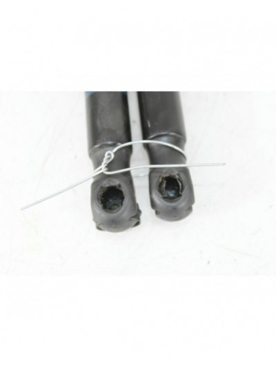 Recambio de amortiguadores capo para bmw 2 coupé (f22, f87) 218 i referencia OEM IAM 5123723923306