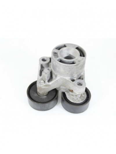 Polea correa servicio BMW X6 xDrive30d 2018