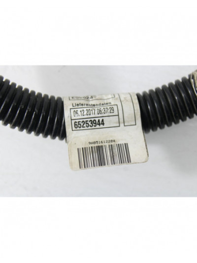 Cable positivo bateria BMW X6 xDrive30d 2018