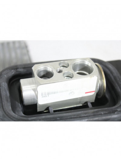 Evaporador aire acondicionado BMW X6 xDrive30d 2018