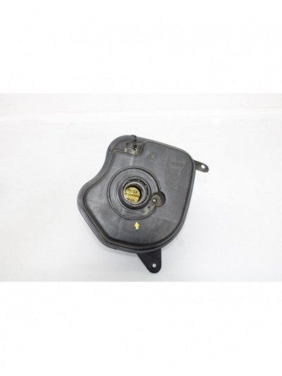 Depósito expansión BMW X6 xDrive40d 2014