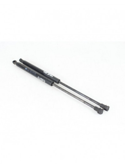 Recambio de amortiguadores capo para alfa romeo giulietta (191) sprint referencia OEM IAM 50519970