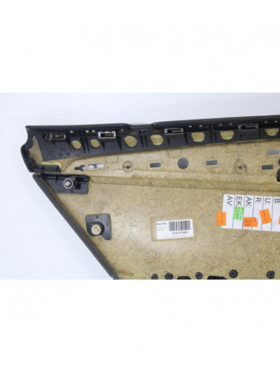 Guarnecido puerta trasera derecha BMW X1 sDrive 18d 2010