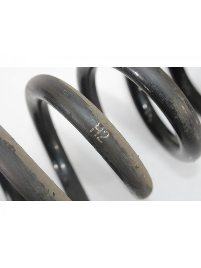 Recambio de muelle amortiguacion para bmw x1 (e84) sdrive 18d referencia OEM IAM 3907