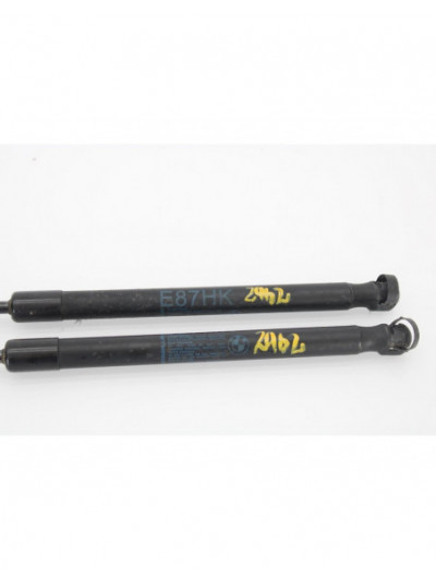 Recambio de amortiguadores maletero / porton para bmw serie 1 berlina (e81/e87) 118d referencia OEM IAM 51247060622