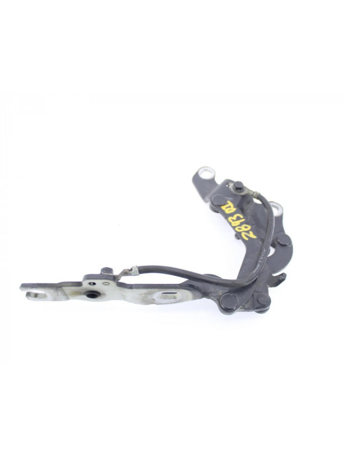 Bisagra capo izquierda BMW SERIE 1 COUPE 120d 2010