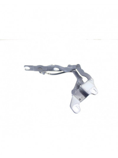 Bisagra capo izquierda BMW SERIE 1 COUPE 120d 2010