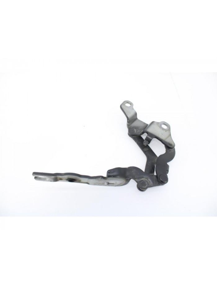 Bisagra capo derecha BMW SERIE 1 COUPE 120d 2010