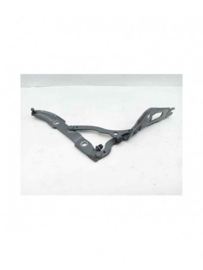 Recambio de bisagra porton para bmw serie 1 coupe (e82) 120d referencia OEM IAM