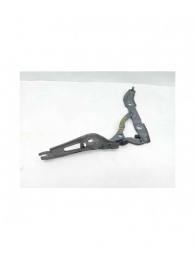 Recambio de bisagra porton para bmw serie 1 coupe (e82) 120d referencia OEM IAM