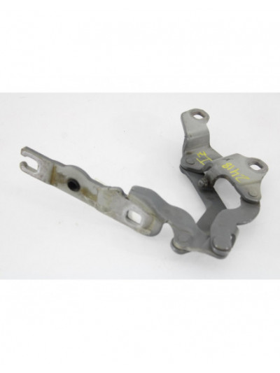 Recambio de bisagra capo izquierda para bmw serie 1 berlina (e81/e87) 120d referencia OEM IAM 7060560