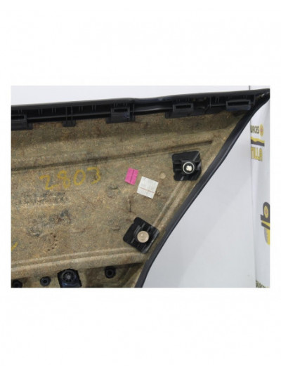 Guarnecido puerta trasera izquierda BMW SERIE 3 BERLINA 318d 2011