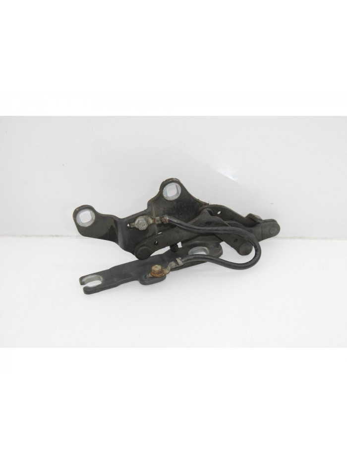 Bisagra capo izquierda BMW SERIE 3 BERLINA 320d 2004