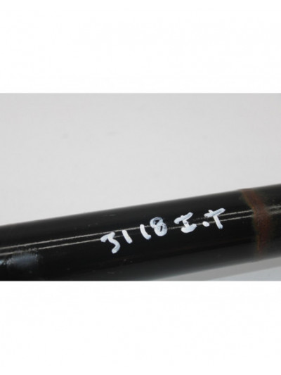 Recambio de amortiguador trasero izquierdo para bmw serie 1 berlina (e81/e87) 118d referencia OEM IAM 3118T.I.