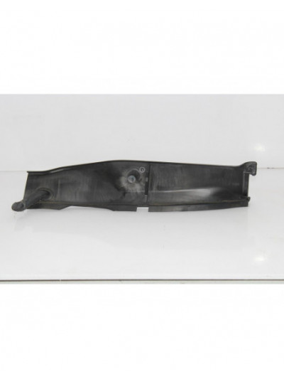 Recambio de molduras delanteras para bmw serie 3 berlina (e90) 320d referencia OEM IAM 64316925974