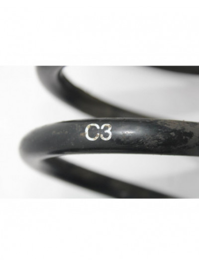 Recambio de muelle amortiguacion para bmw serie 3 berlina (e90) 320d referencia OEM IAM