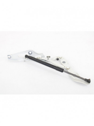 Recambio de bisagra porton para bmw serie 1 cabrio (e88) 118d referencia OEM IAM 716675103