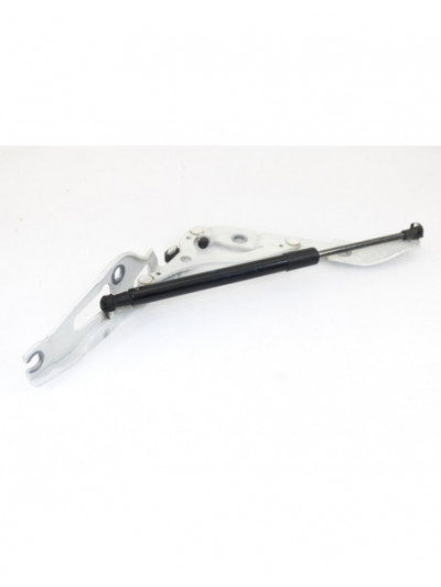 Bisagra porton BMW SERIE 1 CABRIO 118d 2013