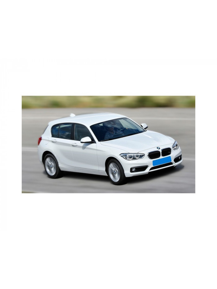 bmw serie 1 berlina (e81/e87) del año 2009