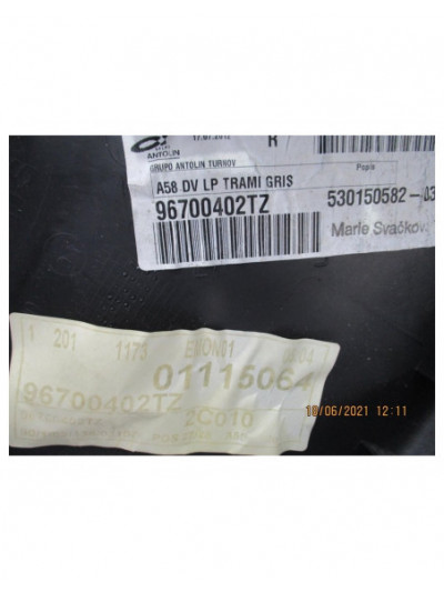 Guarnecido puerta delantera derecha CITROËN C3 PICASSO 1.6 HDi FAP 2012