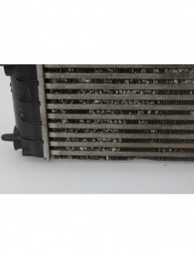 Intercooler CITROËN BERLINGO CUADRO 4x4 Dangel Diesel 90CV 66KW 2012