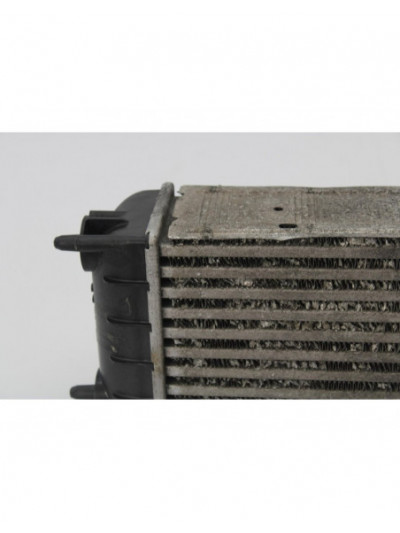 Intercooler CITROËN BERLINGO CUADRO 4x4 Dangel Diesel 90CV 66KW 2012