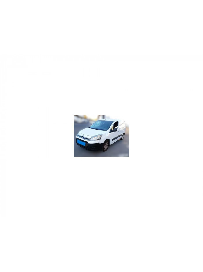 citroën berlingo cuadro del año 2012