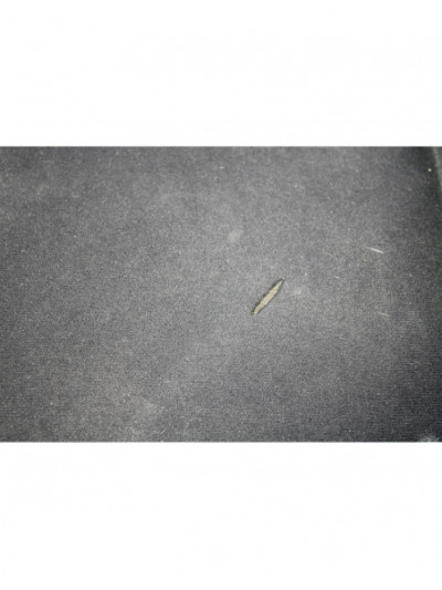 Recambio de asiento delantero derecho para fiat punto (199_) 1.4 (199axb1a, 199bxb1a, 199bxb11, 199axb11) referencia OEM IAM