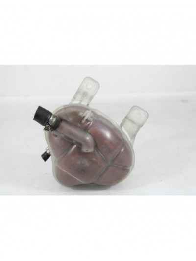 Recambio de deposito expansion para fiat punto (199_) 1.4 (199axb1a, 199bxb1a, 199bxb11, 199axb11) referencia OEM IAM