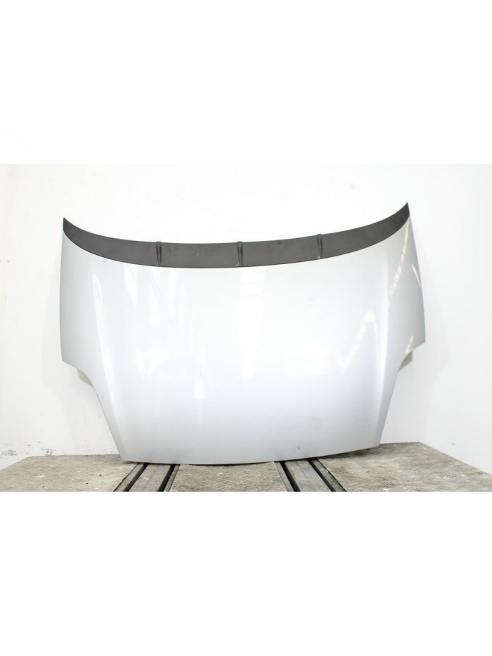 Capo FIAT PUNTO EVO 1.3 D Multijet (199AXD1B, 199AXD1A, 199BXD1B, 199BXD1A,... 2008