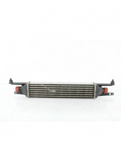 Intercooler FIAT PUNTO EVO 1.3 D Multijet (199AXD1B, 199AXD1A, 199BXD1B, 199BXD1A,... Diesel 90CV 66KW 2008