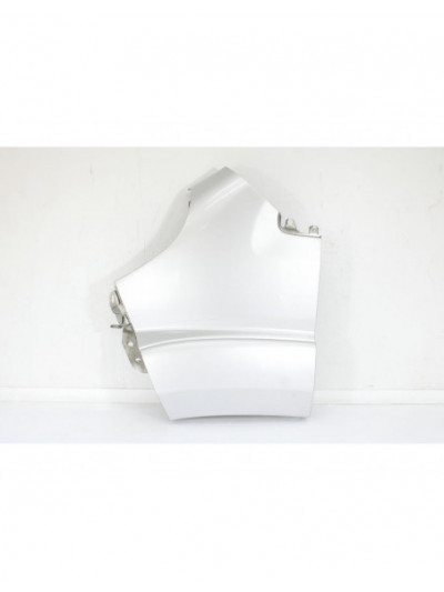 Recambio de aleta delantera izquierda para fiat ducato furgoneta (250_) 160 multijet 3,0 d referencia OEM IAM