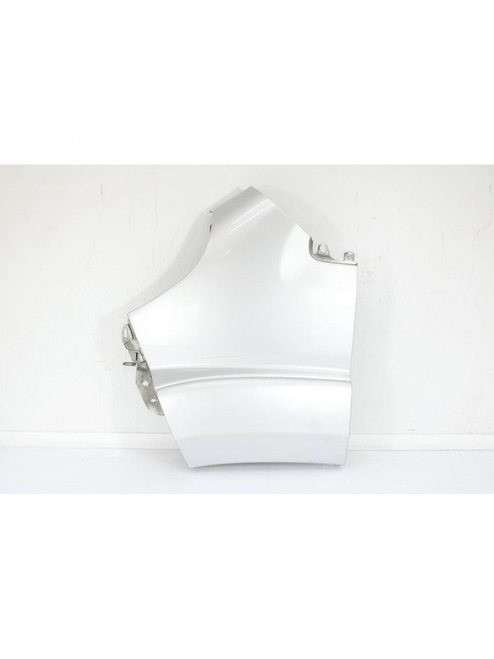 Recambio de aleta delantera izquierda para fiat ducato furgoneta (250_) 160 multijet 3,0 d referencia OEM IAM